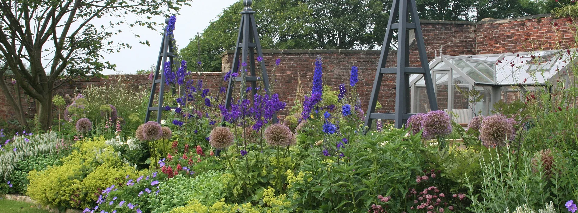 Tracy Foster Garden Design 